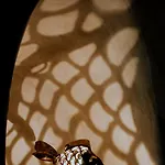 كهف αura ثيرا